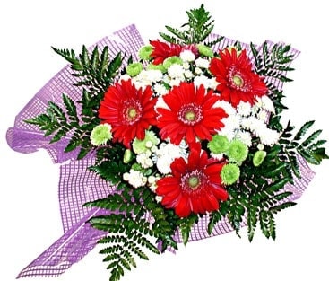 Ankara �entepe �i�ek�i firma �r�n�m�z taze kar���k k�r �i�ekleri demeti