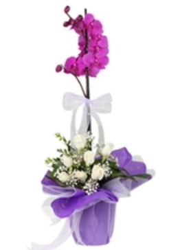 1 dal mor orkide ve 11 adet beyaz g�l Ankara 14 �ubat sevgililer g�n� �i�ek