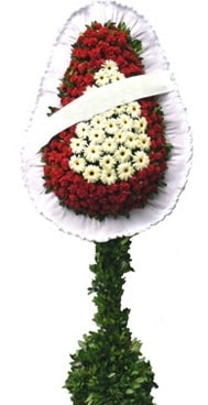 Ucuz D���n Nikah A��l�� �i�e�i Tek Katl� Ankara �i�ek�ileri �i�ek�im